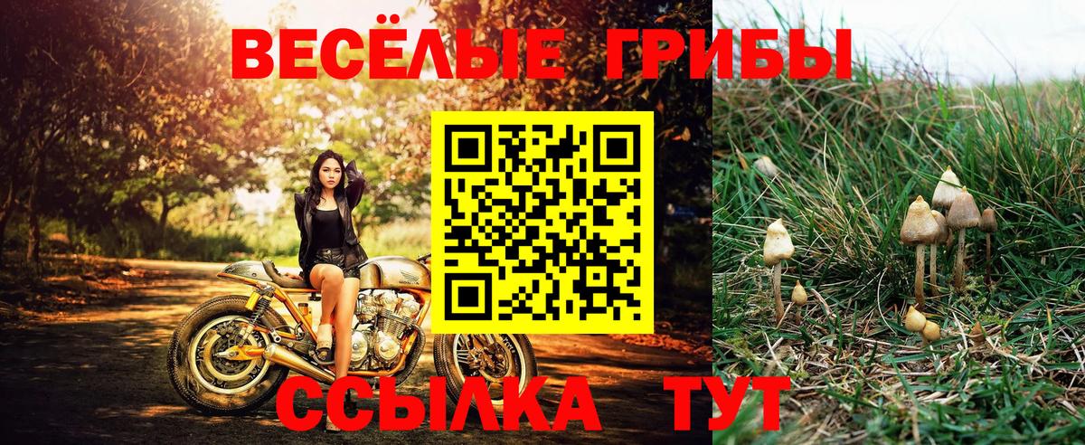 Галлюциногенные грибы прущие грибы Иваново